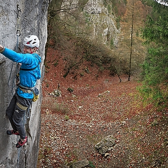 Gekón: 📸 Roman Ripka